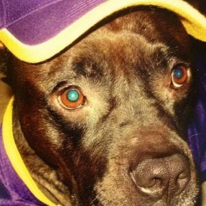 Meet your Posher, Shay